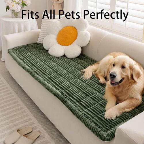 Paw lounge plush - paw,
